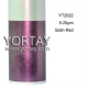 YT2022