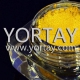 YT5021