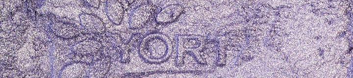 8c2c3014901bc50e88ac56ff8a0be865.jpg 8c2c3014901bc50e88ac56ff8a0be865.jpg