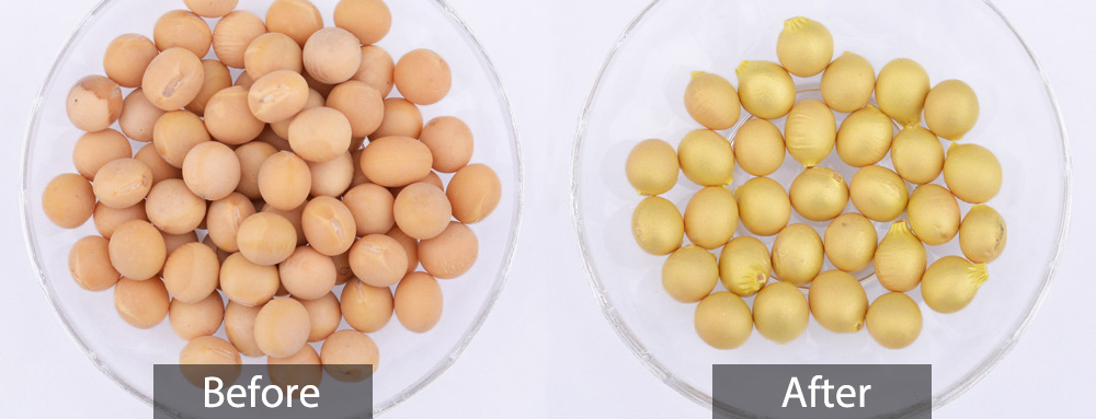 seed coating seed coating