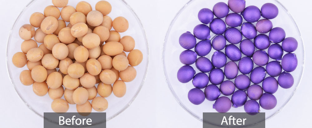 seed coating seed coating