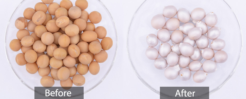 seed coating seed coating