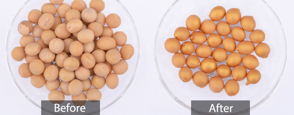 seed coating seed coating